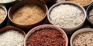 Tipos de arroz: descubre sus usos en la cocina