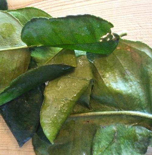 Cómo tratar la bronquitis con remedios naturales - Paso 6