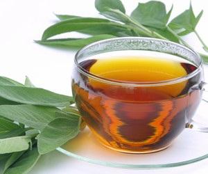 Cómo tratar la bronquitis con remedios naturales - Paso 7