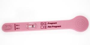 Cuáles son los métodos de reproducción asistida