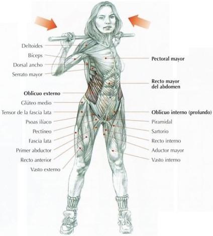 Cómo eliminar grasa de la cadera  - Paso 2