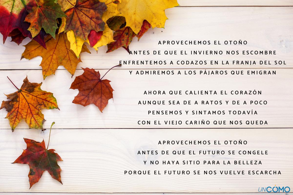 Poemas del otoño