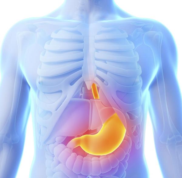 Cómo combatir el reflujo con plantas medicinales