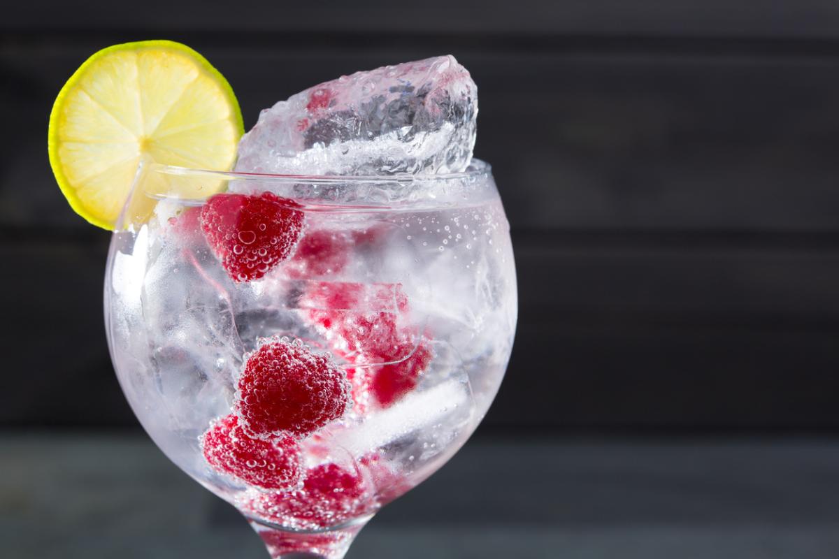 Cómo hacer un gin tonic de frutos rojos