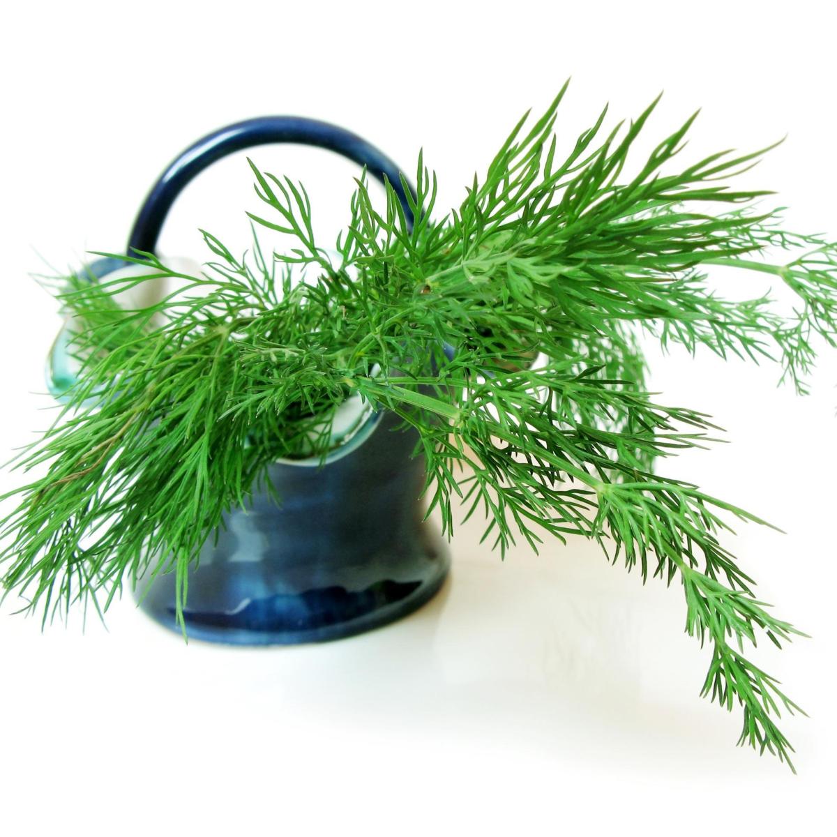 Cómo ambientar la casa con hierbas aromáticas