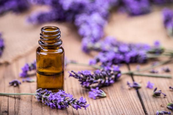 Aceites esenciales para el cabello graso - Aceite esencial de lavanda para el pelo graso