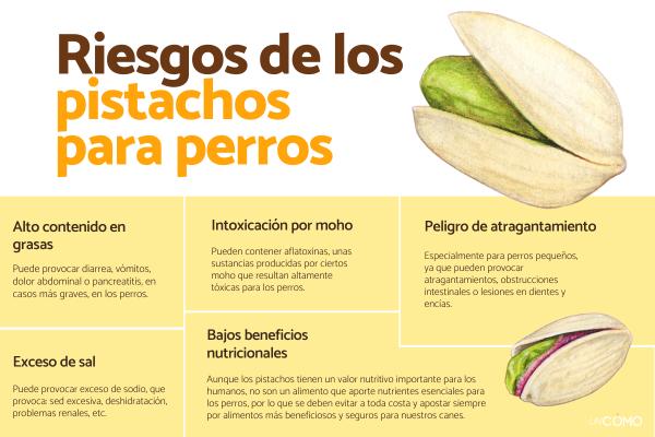 ¿Los perros pueden comer pistachos? Descubre los riesgos y por qué evitarlos - Riesgos de los pistachos para los perros