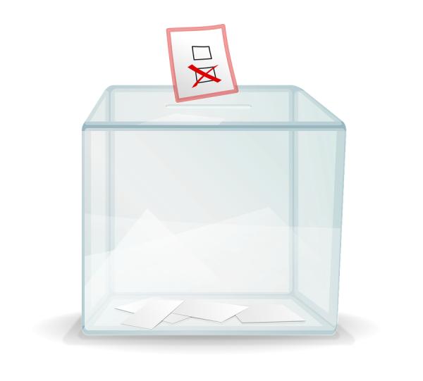 ¿Pueden votar los discapacitados mentales en España?