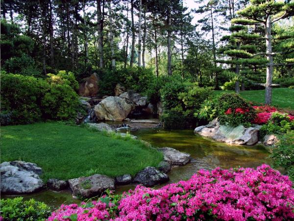 Cómo diseñar un jardín japonés - Tipos de jardín japonés
