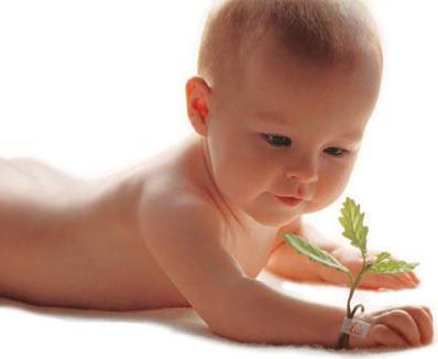 Cuáles son las tres funciones vitales