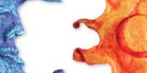 Cómo distinguir las partes del día en inglés