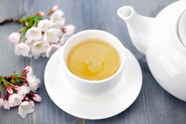 Propiedades del té blanco para la piel - ¡beneficios y tratamientos! - Cómo preparar té blanco