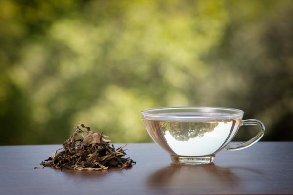 Propiedades del té blanco para la piel - ¡beneficios y tratamientos!