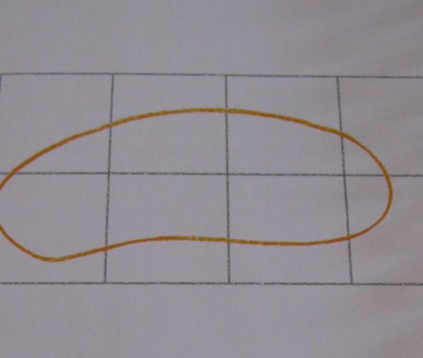 Cómo dibujar una ballena - Paso 1