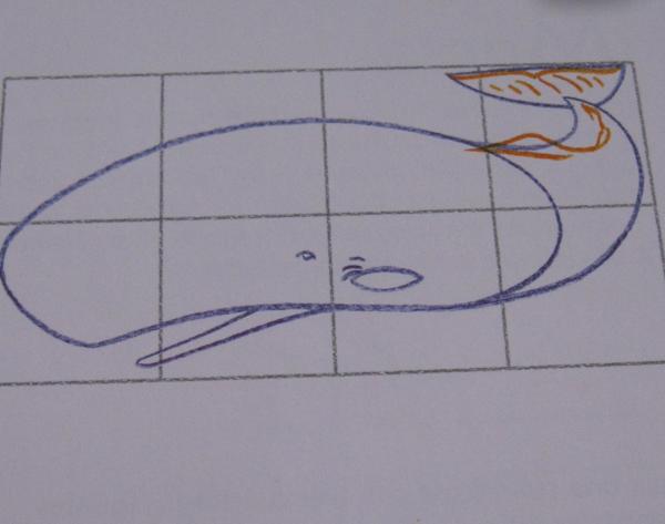 Cómo dibujar una ballena - Paso 3
