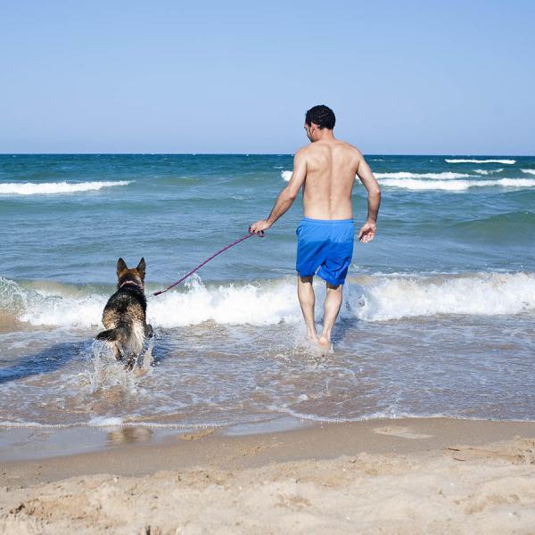 Playas para ir con perros en España - Playas españolas para ir con perros: Valencia
