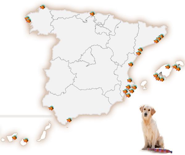 Playas para ir con perros en España