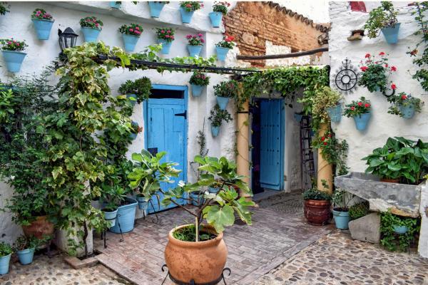 Patios de Córdoba: qué ver, cuándo visitarlos y consejos para visitarlos en 2026 - Cuándo visitar los Patios de Córdoba 2026