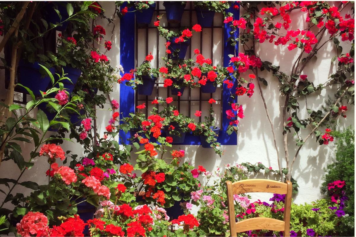 Patios de Córdoba: qué ver, cuándo visitarlos y consejos para visitarlos en 2026