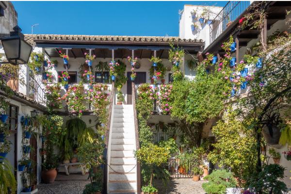 Patios de Córdoba: qué ver, cuándo visitarlos y consejos para visitarlos en 2026 - Qué ver en los Patios de Córdoba: rincones imprescindibles y más bonitos