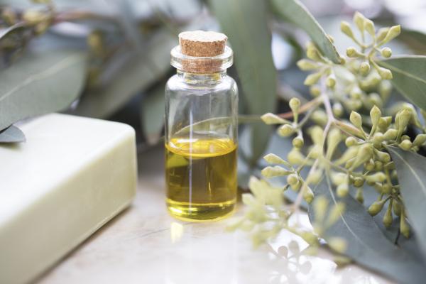 Remedios caseros para la alergia al polen - Aceite esencial de eucalipto