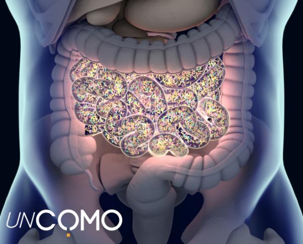 Cómo limpiar el estómago de bacterias