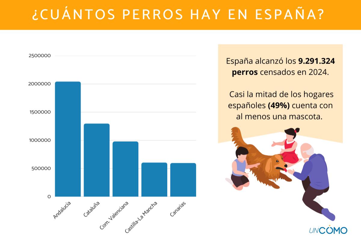 que porcentaje de la poblacion tiene un perro