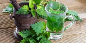 Ortiga para la próstata: beneficios y cómo prepararla